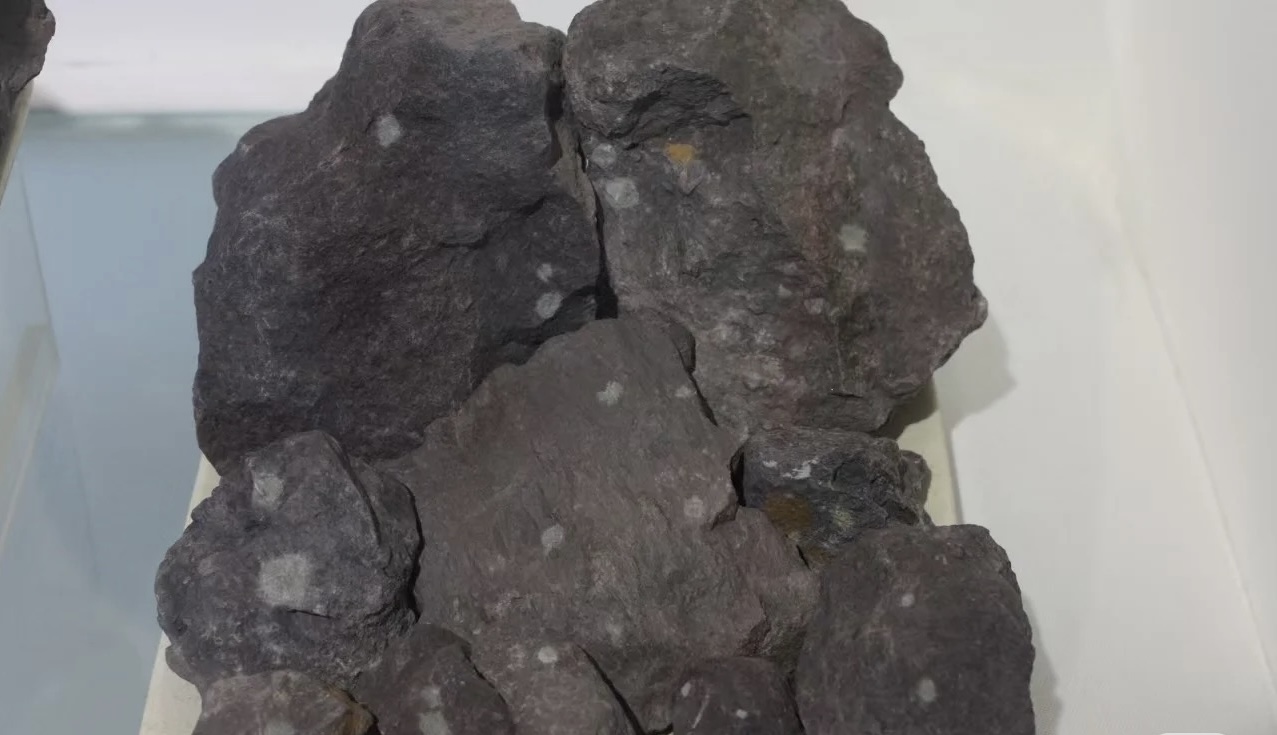 Chất Đất Đế Tào Thanh (底槽青) – Nguyên Khoáng Tử Sa Quý Hiếm 1 IMG 5557