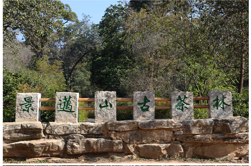 O1CN01BDi37s20jNvpmBKYT 2200731906885 1 cib e1759311864985