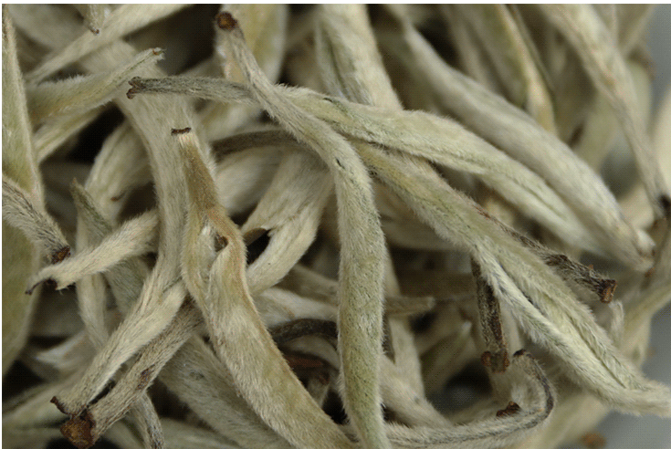 O1CN01IQ7BX220jNfgRrJwG 2200731906885 0 cib e1759327376987