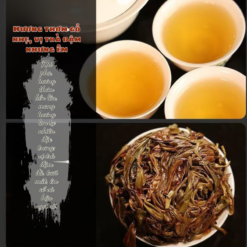 TEA 1