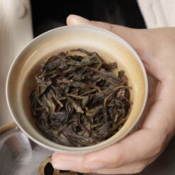 e20b356b1ff0bf2764cf4acab64d8a7e