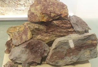 giang ba ne e9998de59da1e6b3a5 4246