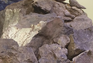 tu ne bun tim e7b4abe6b3a5 4232