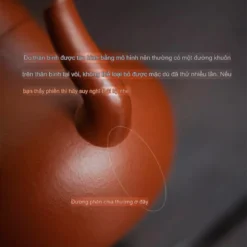 vn 11134207 7ra0g m7zhbadjlmdea5