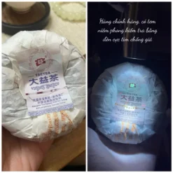 Đại Ích Giáp Thoai Toucha 100g | Phổ Nhĩ Sống 2010 12 vn 11134207 7ras8 mbuwu87m81hq09