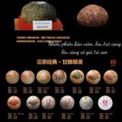 Đại Ích Giáp Thoai Toucha 100g | Phổ Nhĩ Sống 2010 14 vn 11134207 7ras8 mbuwu88g6tatf9