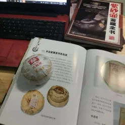 Đại Ích Giáp Thoai Toucha 100g | Phổ Nhĩ Sống 2010 13 vn 11134207 7ras8 mbux2dowsf4e3d