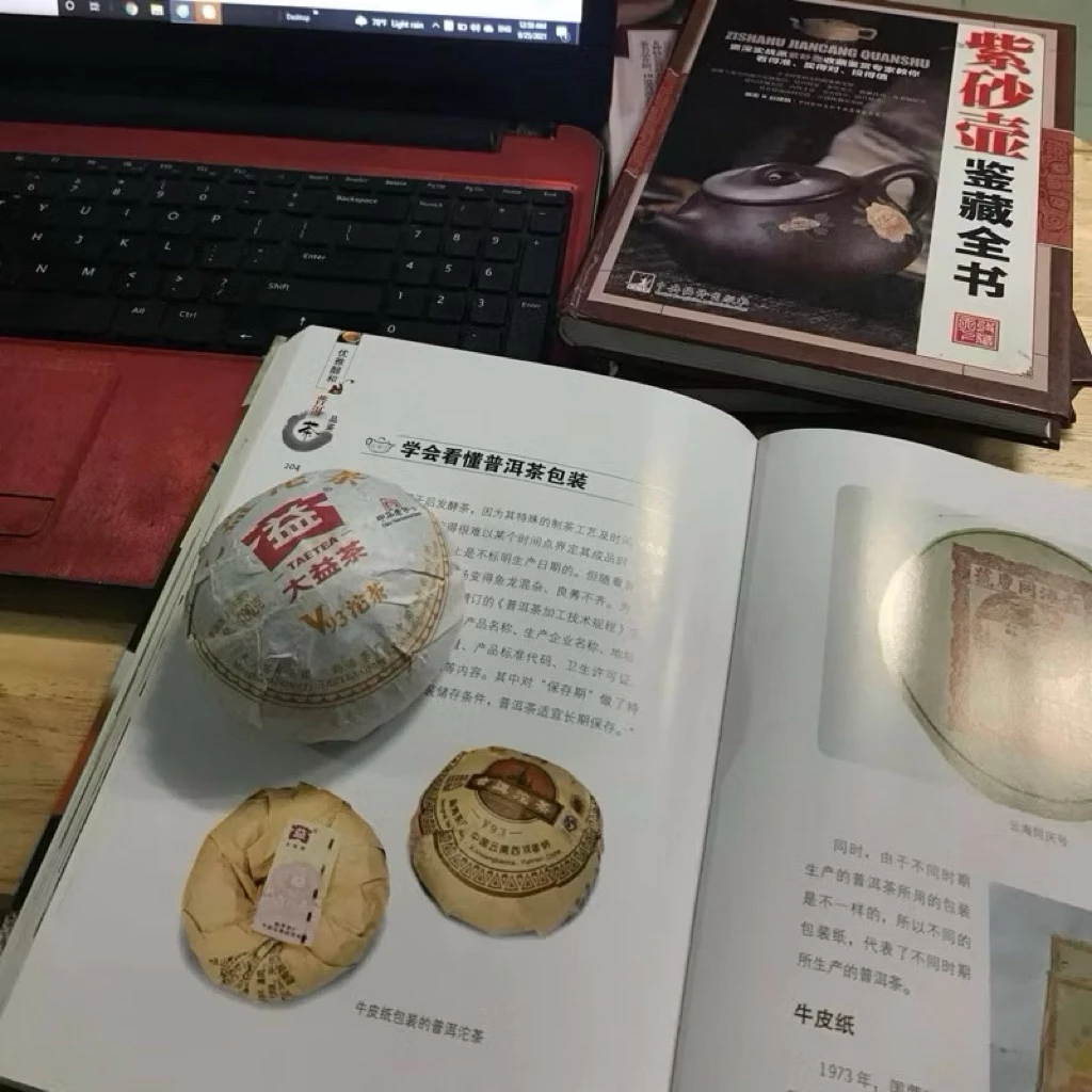 Đại Ích Giáp Thoai Toucha 100g | Phổ Nhĩ Sống 2010 4 vn 11134207 7ras8