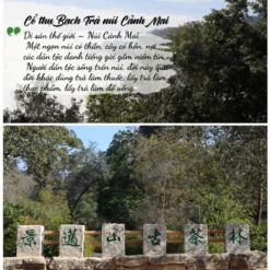 vn 11134207 7ras8 mdbzsx8yu3sd35