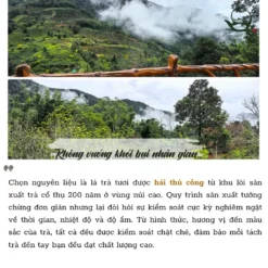 vn 11134207 7ras8 mdf49beat9s59a