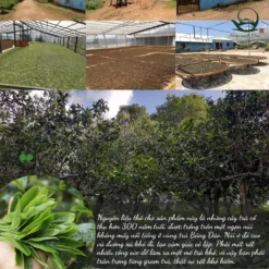 vn 11134207 7ras8 mdj6cyni15in18