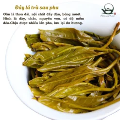 vn 11134207 7ras8 mdj7coduk3e796