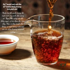 vn 11134207 820l4 mdyq2jk0pziea6