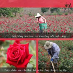 vn 11134207 820l4 mejp5ogqou1174