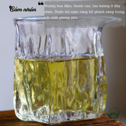 Dị Võ Cổ Thụ | Phổ Nhĩ Sống 2023 9 29