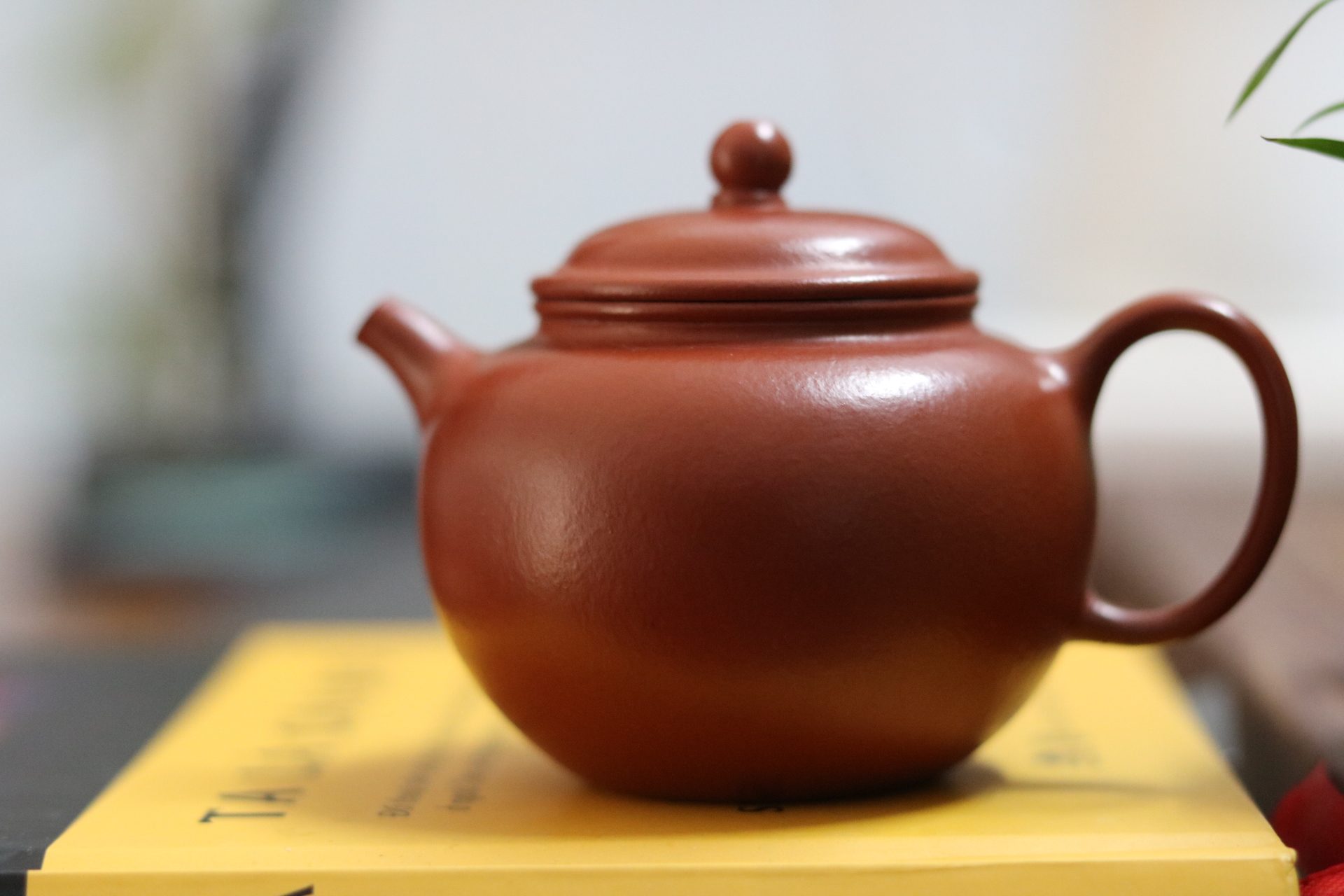 Ấm Chuyết Chỉ | Tiểu Môi Diêu Chu Nê 140ml | Toàn Thủ Công 2 IMG 5140