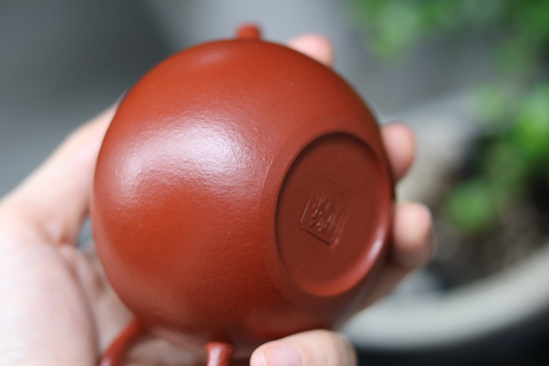 Ấm Chuyết Chỉ | Tiểu Môi Diêu Chu Nê 140ml | Toàn Thủ Công 3 IMG 5151