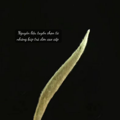 Pho nhi chin Van Nam.zip 10