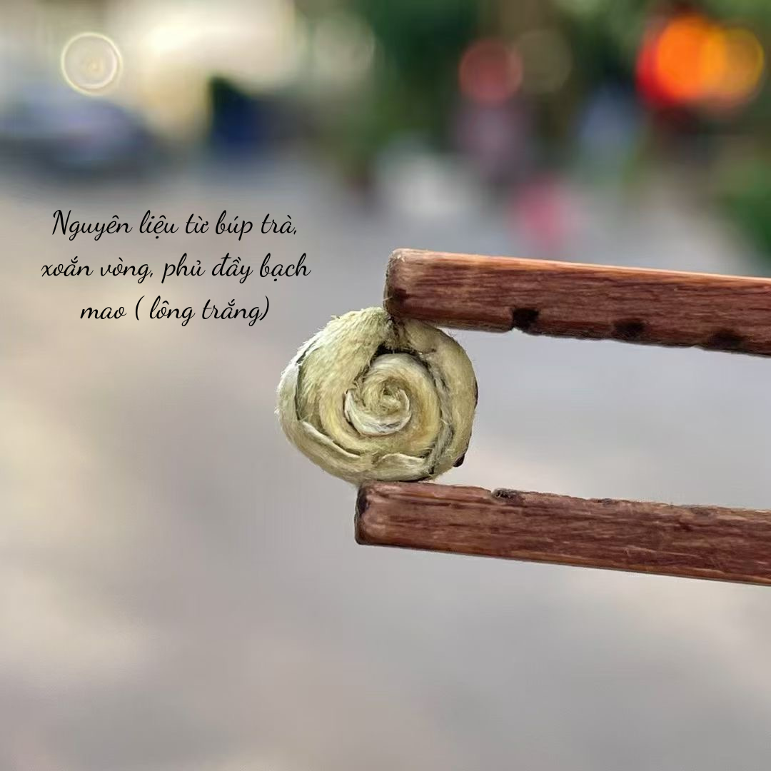 Bích Loa Xuân Thượng Hạng | Danh Trà Trung Hoa 15 Pho nhi chin Van Nam.zip 13