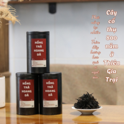 Hồng trà cổ thụ