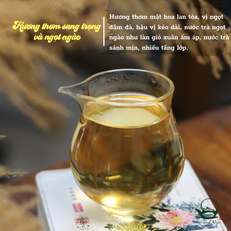 Băng Đảo Long Châu Viên 7g | Trà Phổ Nhĩ Sống 2022 2 TEA 4 1