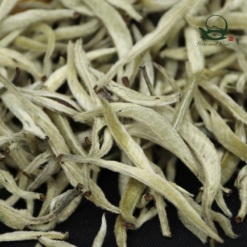 Bạch hào ngân châm