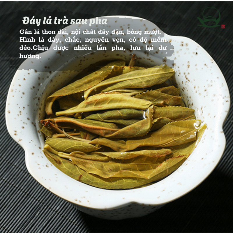 Băng Đảo Long Châu Viên 7g | Trà Phổ Nhĩ Sống 2022 4 TEA.png