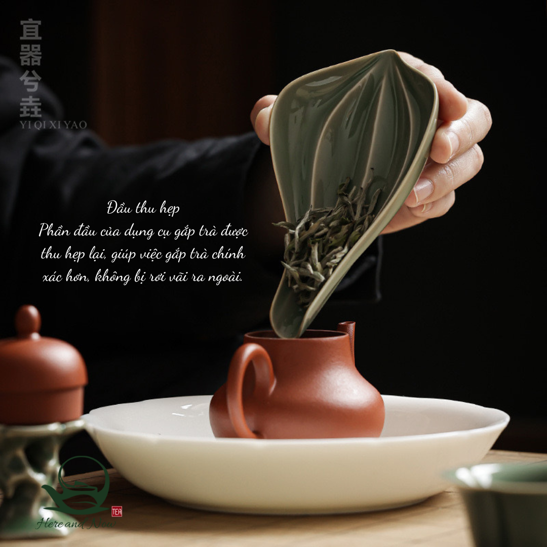 Cung Nhãn Trà | Sứ Men Xanh Long Tuyền 2 Voucher 6.png