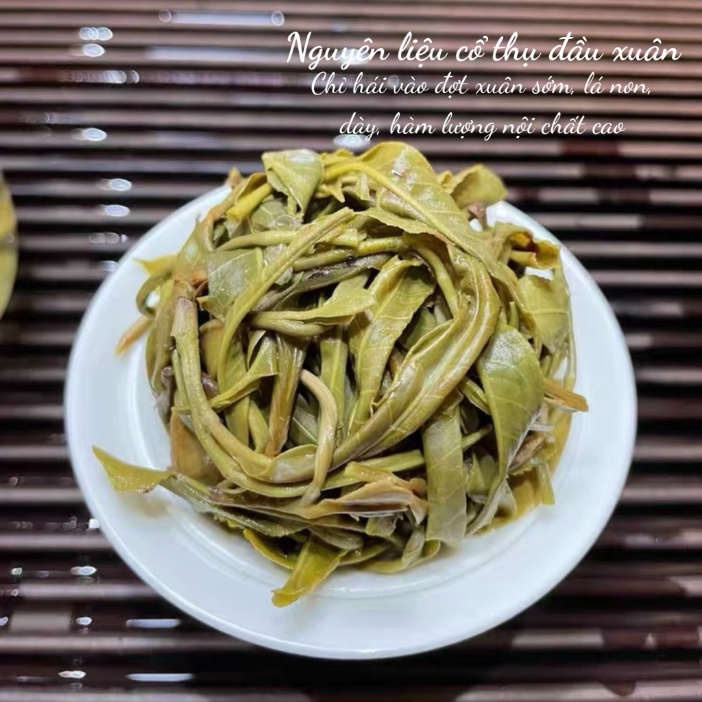 Dị Võ Cổ Thụ | Phổ Nhĩ Sống 2023 5 vn 11134207 7ras8 mc0ktjckmydqb4