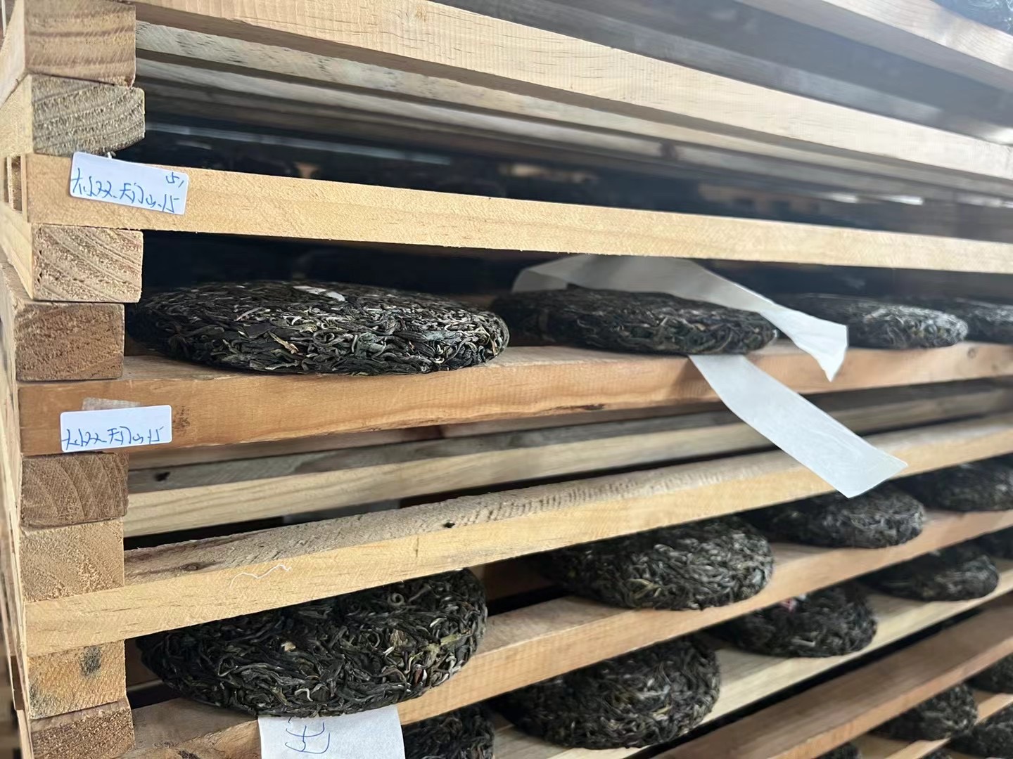 Cách bảo quản trà Phổ Nhĩ đúng chuẩn – Giữ hương vị bền lâu và lên men tự nhiên 3 IMG 3790