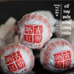 hồng trà cổ thụ