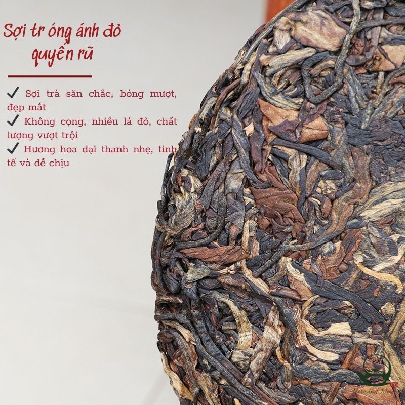 Hồng Điền Trà 200g | Hồng Trà Cổ Thụ 2024 2 TEA 13