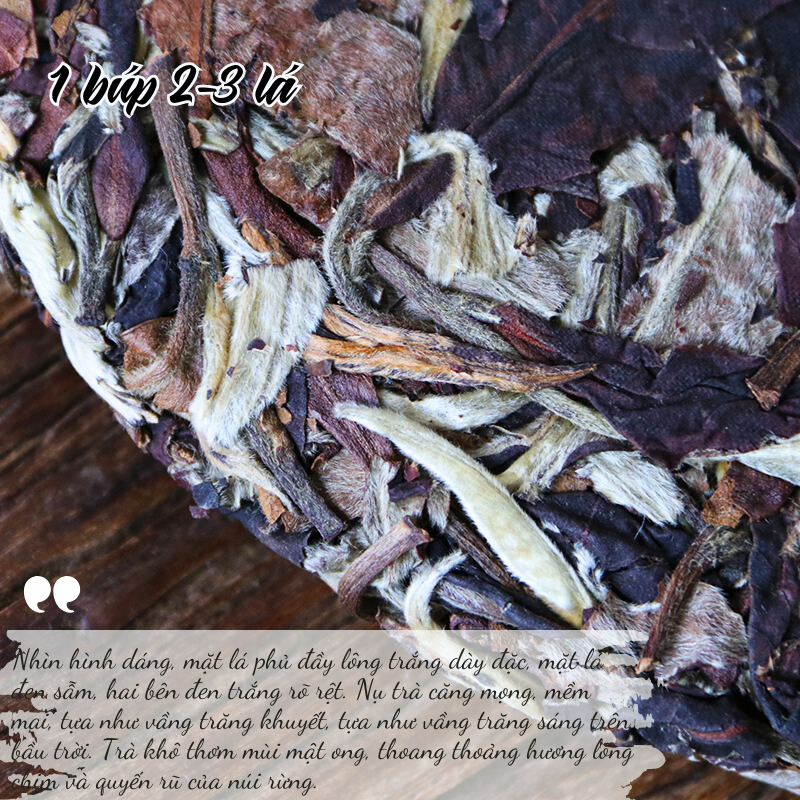 Nguyệt Quang Trà 357g | Bạch Trà Cổ Thụ 2022 12 TEA 3