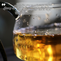 Nguyệt Quang Trà 357g | Bạch Trà Cổ Thụ 2022 8 TEA 4