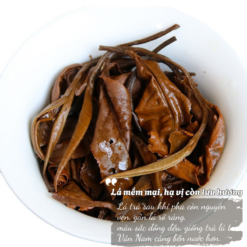 Nguyệt Quang Trà 357g | Bạch Trà Cổ Thụ 2022 9 TEA 7