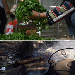 Nguyệt Quang Trà 357g | Bạch Trà Cổ Thụ 2022 11 TEA 8