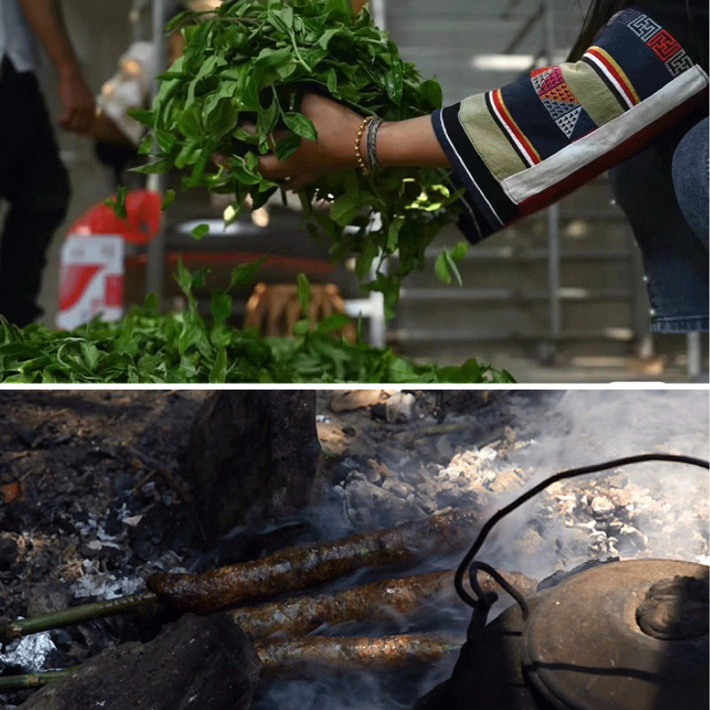 Nguyệt Quang Trà 357g | Bạch Trà Cổ Thụ 2022 6 TEA 8